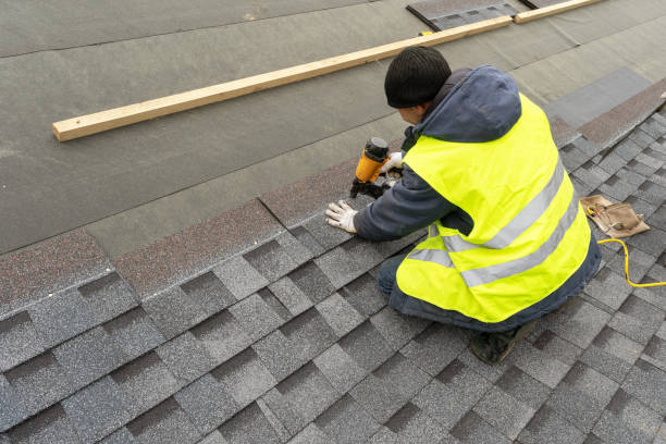 Roof Gutter Cleaning in Arbury Hills, IL