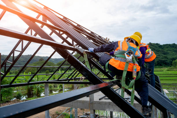 Best Emergency Roof Repair  in Arbury Hls, IL