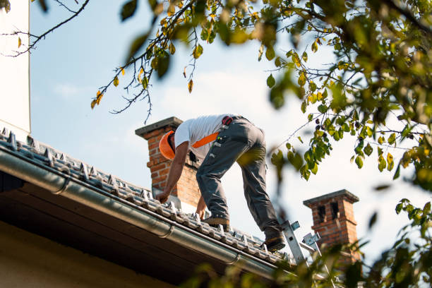 Quick and Trustworthy Emergency Roof Repair Services in Arbury Hills, IL